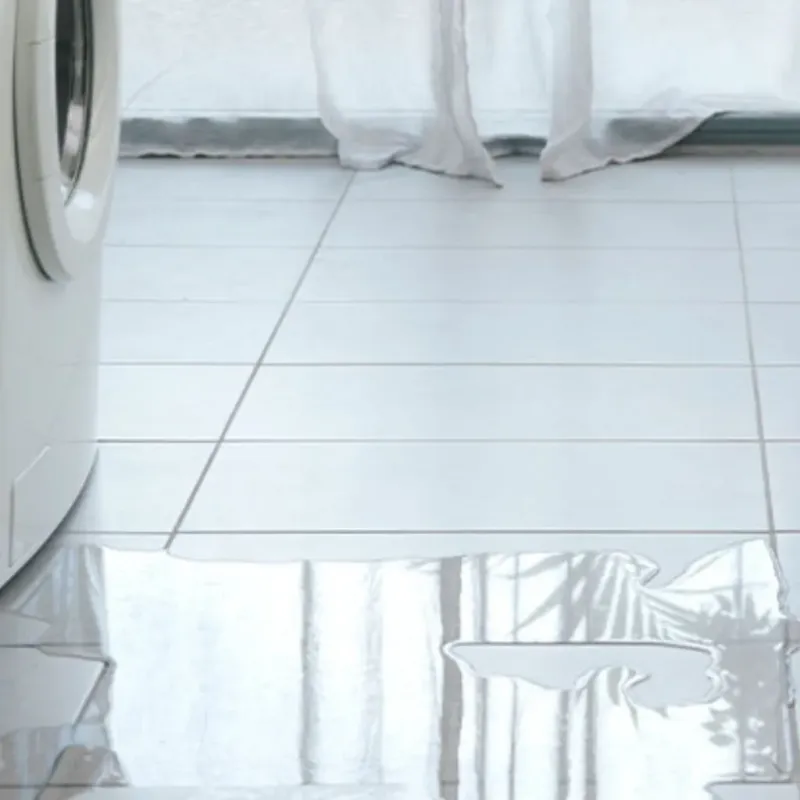 Appliance Leak Cleanup in Saint Augusta, MN