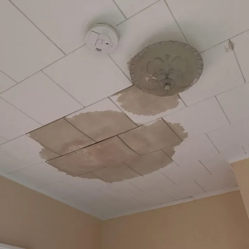 Ceiling Water Damage Repair in Saint Augusta, MN