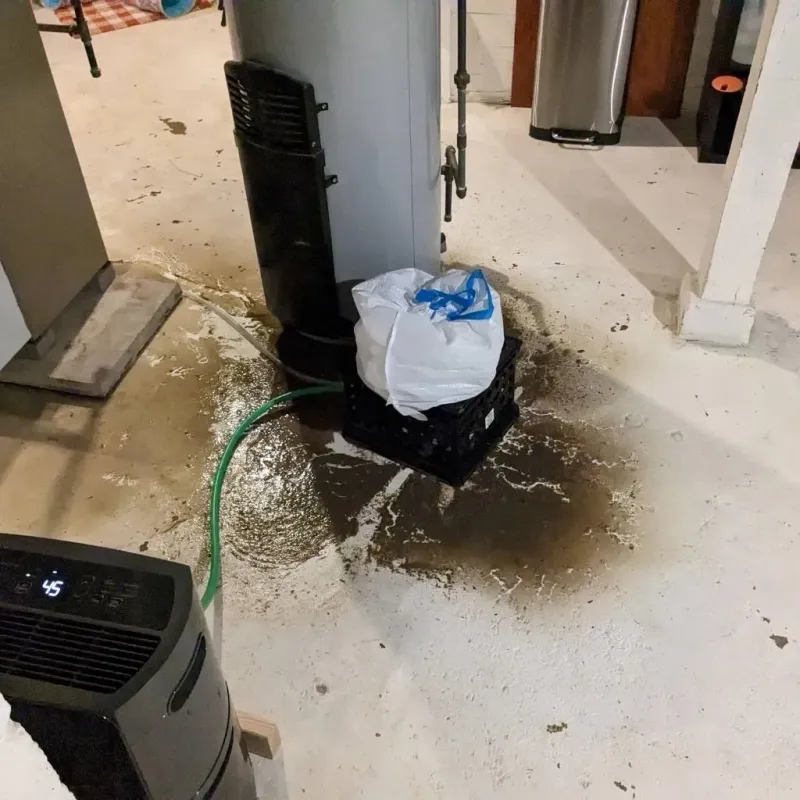 Sewage Backup Cleanup Service in Saint Augusta, MN